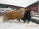 Picture 042