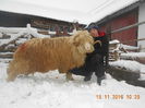 Picture 043