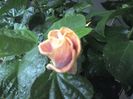 WIN_20161116_105326