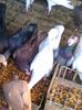 Photo0081