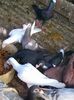 Photo0082