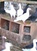 Photo0083