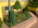 Mijloc de noiembrie in curte