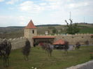 CETATEA RUPEA jud.Brasov-1