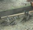 20161007_145935-1-1