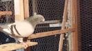 20161117_193230[1]
