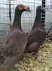 Photo0103