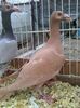 Photo0110