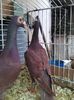 Photo0112