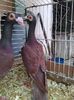 Photo0114