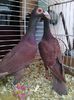 Photo0115