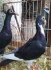 Photo0116