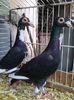 Photo0119