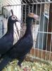 Photo0120