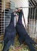 Photo0123