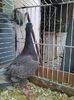 Photo0124