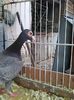 Photo0127