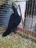 Photo0129