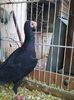 Photo0132