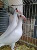 Photo0134