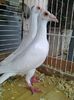 Photo0135