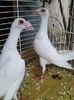 Photo0137