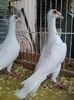 Photo0140