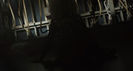 bandicam 2016-11-25 19-22-16-130