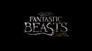25nov2016 ”Fantastic Beasts and Where to Find Them (2016)” ★★★★☆