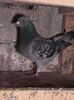 received_1267466383274448