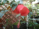 SAM_3875