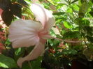 SAM_3891