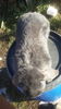 20161122_134434[1]