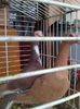 Photo0142