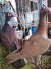 Photo0144