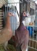 Photo0148