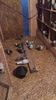 IMG-20161116-WA0069