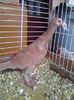 Photo0151