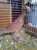 Photo0152