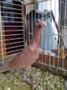 Photo0154