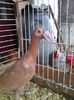 Photo0155