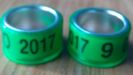 2017-verde-9mm....-1 leu