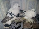received_1355503794483506