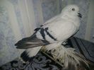 received_1355503787816840