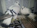 received_1355502611150291