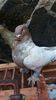 IMG-20161126-WA0226