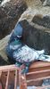 IMG-20161126-WA0045