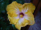 P1300805