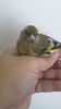 IMG-20161022-WA0007