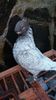 IMG-20161126-WA0048